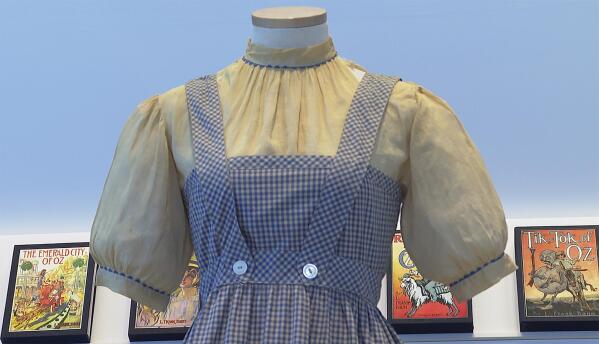 Blue and white gingham dress dorothy sale